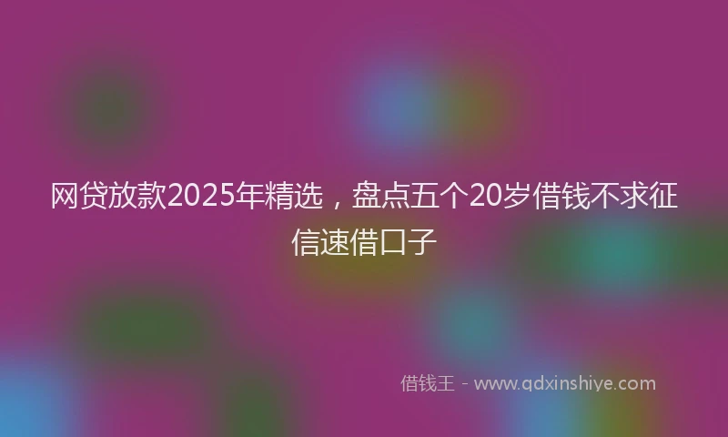 网贷放款2025年精选，盘点五个20岁借钱不求征信速借口子