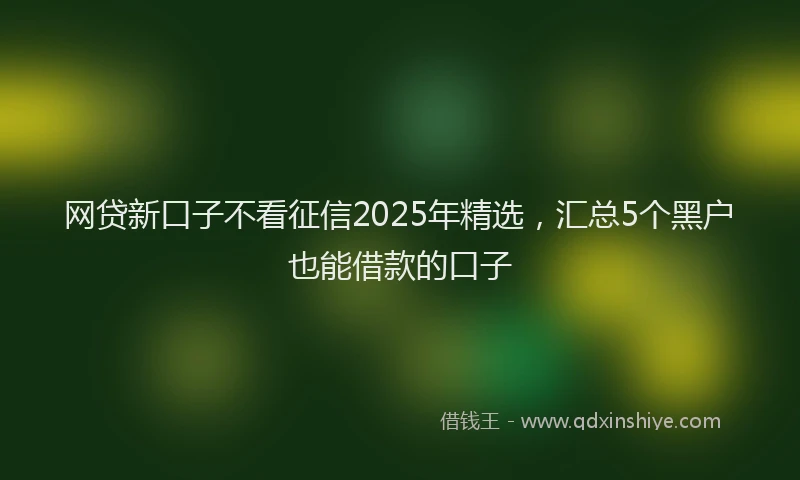 网贷新口子不看征信2025年精选，汇总5个黑户也能借款的口子
