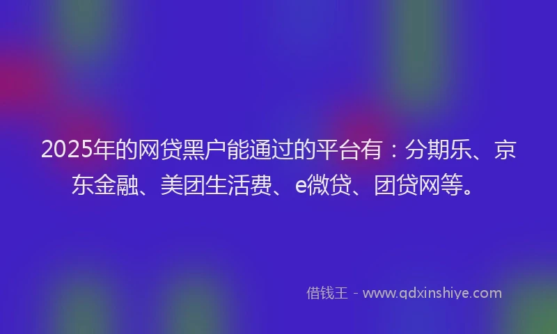 2025年的网贷黑户能通过的平台有：分期乐、京东金融、美团生活费、e微贷、团贷网等。