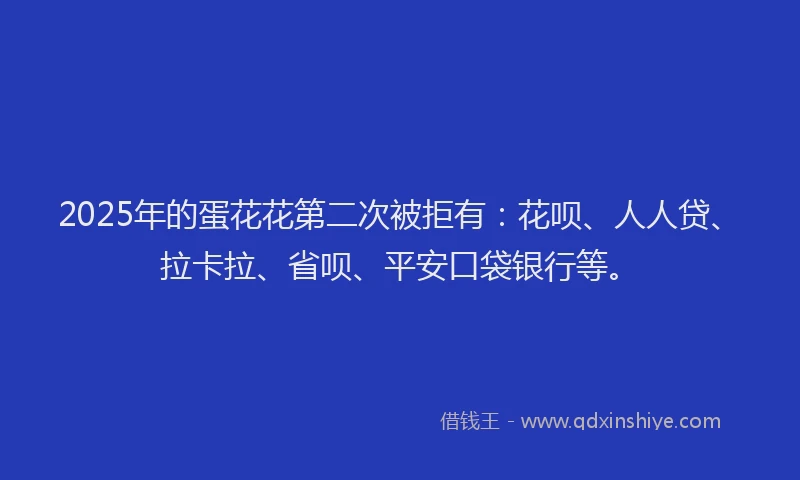 2025年的蛋花花第二次被拒有：花呗、人人贷、拉卡拉、省呗、平安口袋银行等。