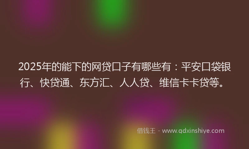 2025年的能下的网贷口子有哪些有：平安口袋银行、快贷通、东方汇、人人贷、维信卡卡贷等。
