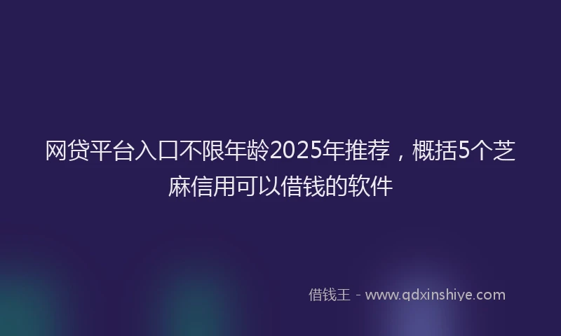 网贷平台入口不限年龄2025年推荐，概括5个芝麻信用可以借钱的软件