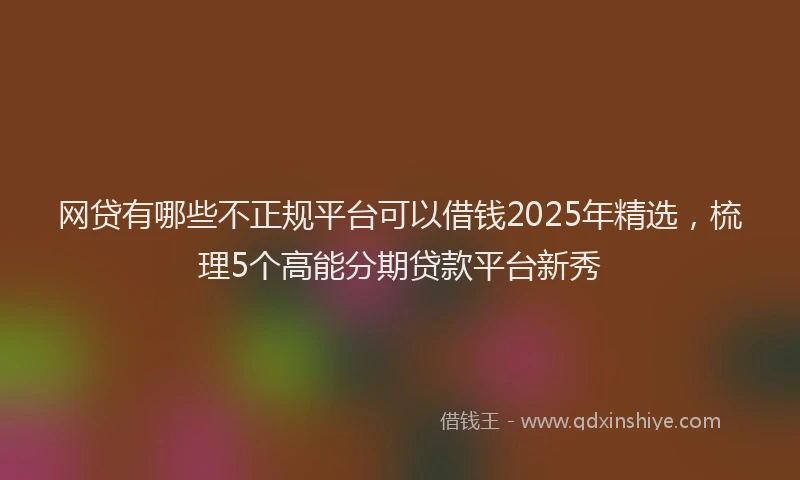 网贷有哪些不正规平台可以借钱2025年精选，梳理5个高能分期贷款平台新秀