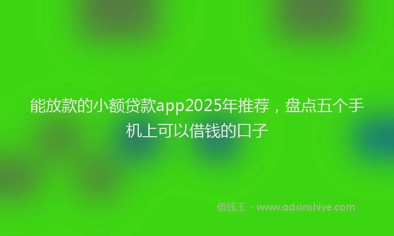 能放款的小额贷款app2025年推荐，盘点五个手机上可以借钱的口子