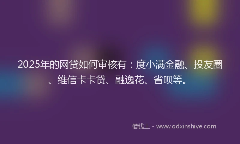 2025年的网贷如何审核有：度小满金融、投友圈、维信卡卡贷、融逸花、省呗等。