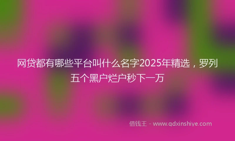 网贷都有哪些平台叫什么名字2025年精选，罗列五个黑户烂户秒下一万