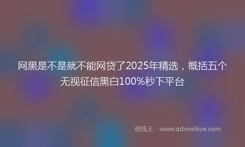 网黑是不是就不能网贷了2025年精选，概括五个无视征信黑白100%秒下平台