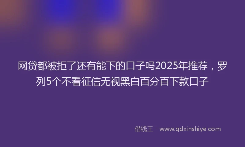 网贷都被拒了还有能下的口子吗2025年推荐，罗列5个不看征信无视黑白百分百下款口子