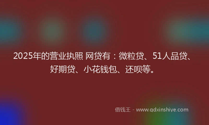 2025年的营业执照 网贷有：微粒贷、51人品贷、好期贷、小花钱包、还呗等。