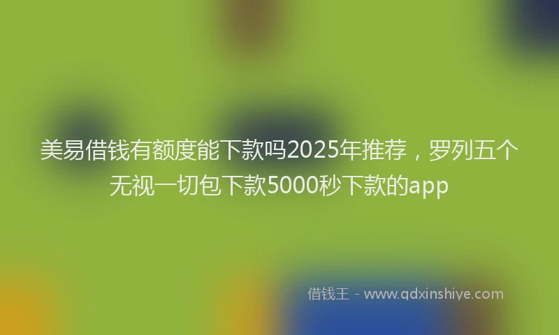 美易借钱有额度能下款吗2025年推荐，罗列五个无视一切包下款5000秒下款的app
