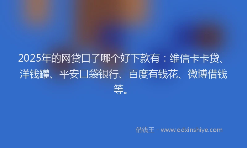 2025年的网贷口子哪个好下款有：维信卡卡贷、洋钱罐、平安口袋银行、百度有钱花、微博借钱等。