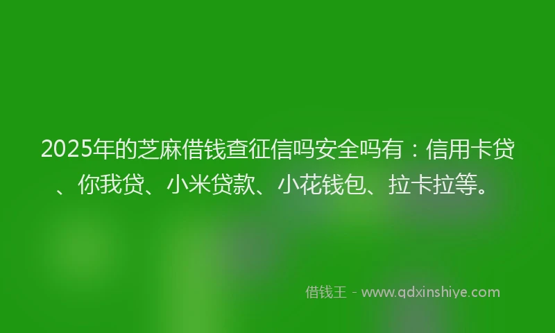2025年的芝麻借钱查征信吗安全吗有：信用卡贷、你我贷、小米贷款、小花钱包、拉卡拉等。