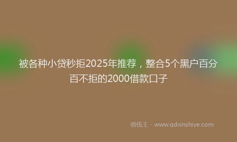 被各种小贷秒拒2025年推荐，整合5个黑户百分百不拒的2000借款口子