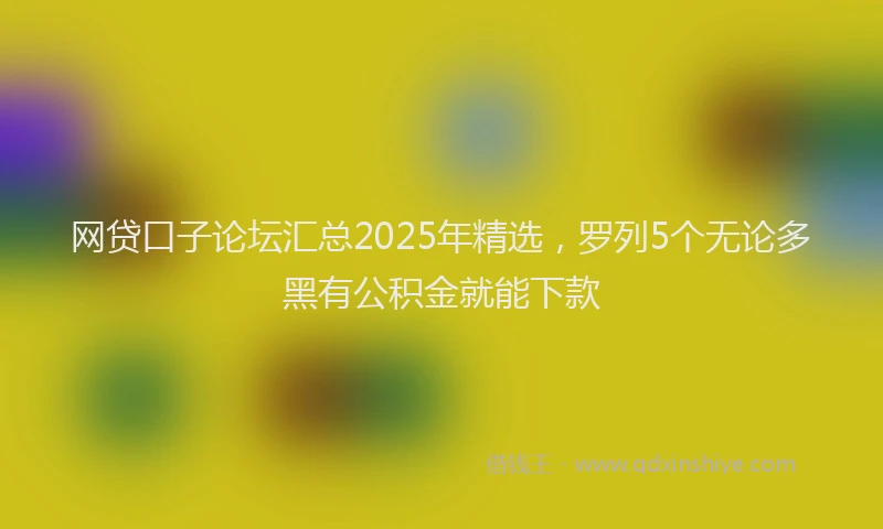 网贷口子论坛汇总2025年精选，罗列5个无论多黑有公积金就能下款