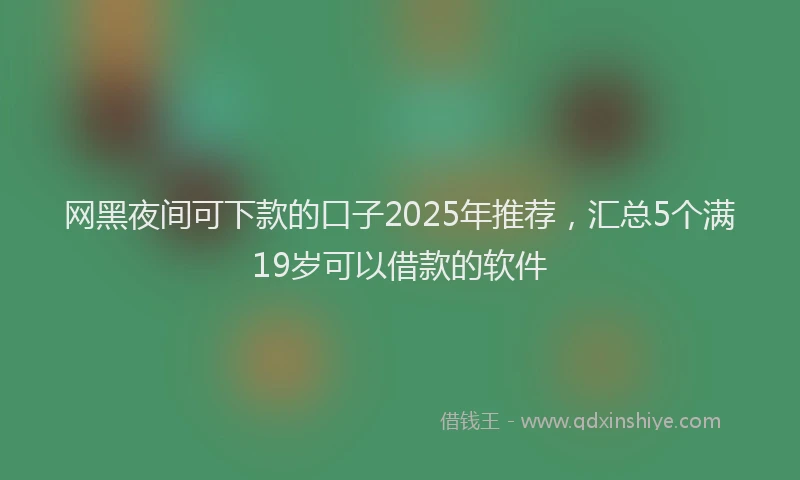 网黑夜间可下款的口子2025年推荐，汇总5个满19岁可以借款的软件