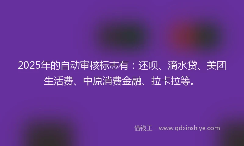 2025年的自动审核标志有：还呗、滴水贷、美团生活费、中原消费金融、拉卡拉等。
