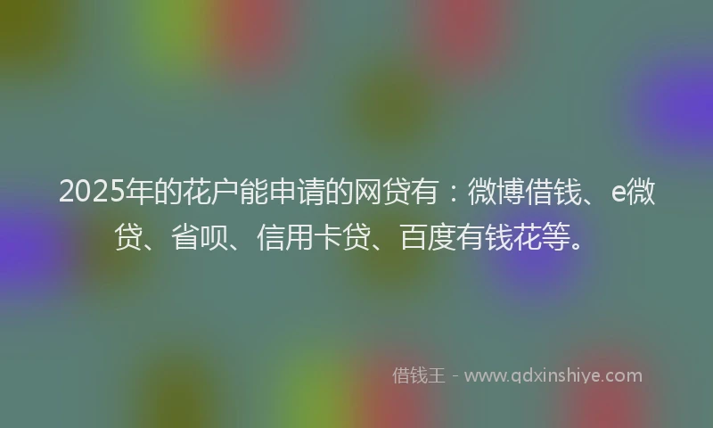 2025年的花户能申请的网贷有：微博借钱、e微贷、省呗、信用卡贷、百度有钱花等。