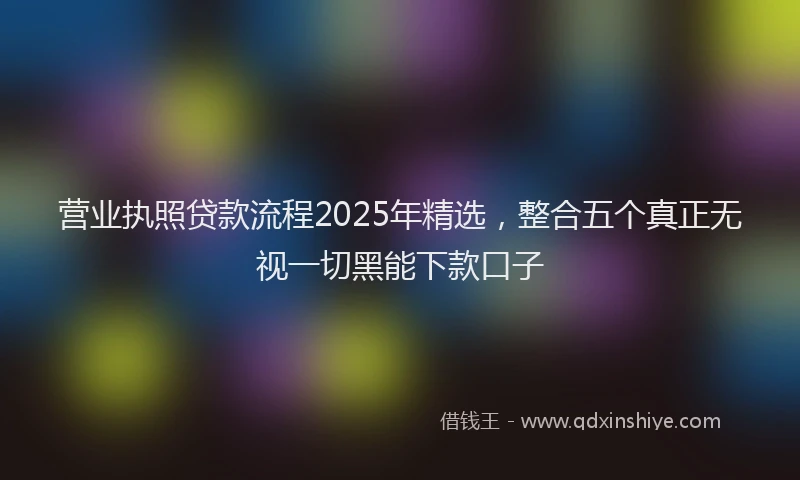 营业执照贷款流程2025年精选，整合五个真正无视一切黑能下款口子