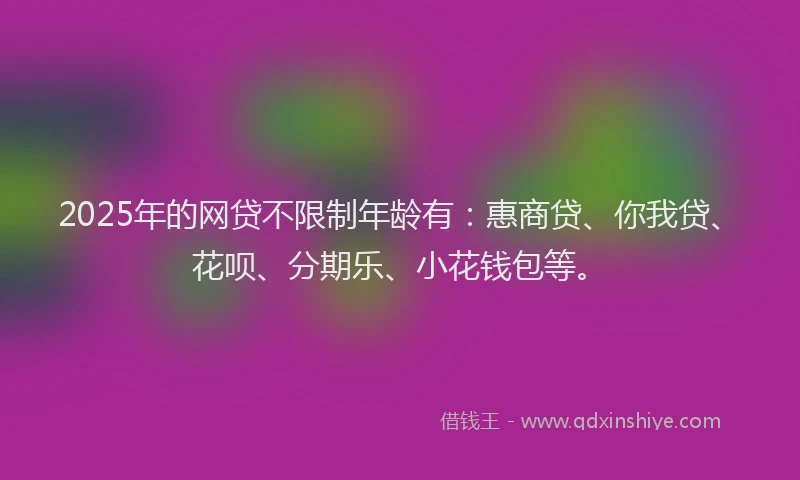 2025年的网贷不限制年龄有：惠商贷、你我贷、花呗、分期乐、小花钱包等。