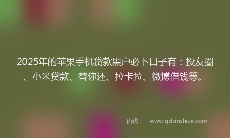 2025年的苹果手机贷款黑户必下口子有：投友圈、小米贷款、替你还、拉卡拉、微博借钱等。