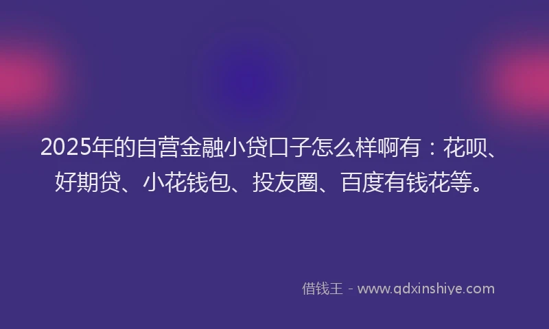 2025年的自营金融小贷口子怎么样啊有：花呗、好期贷、小花钱包、投友圈、百度有钱花等。