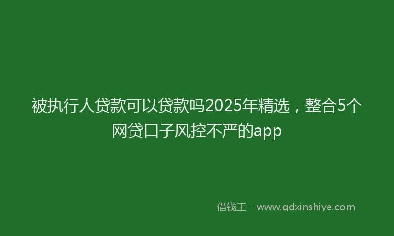 被执行人贷款可以贷款吗2025年精选，整合5个网贷口子风控不严的app