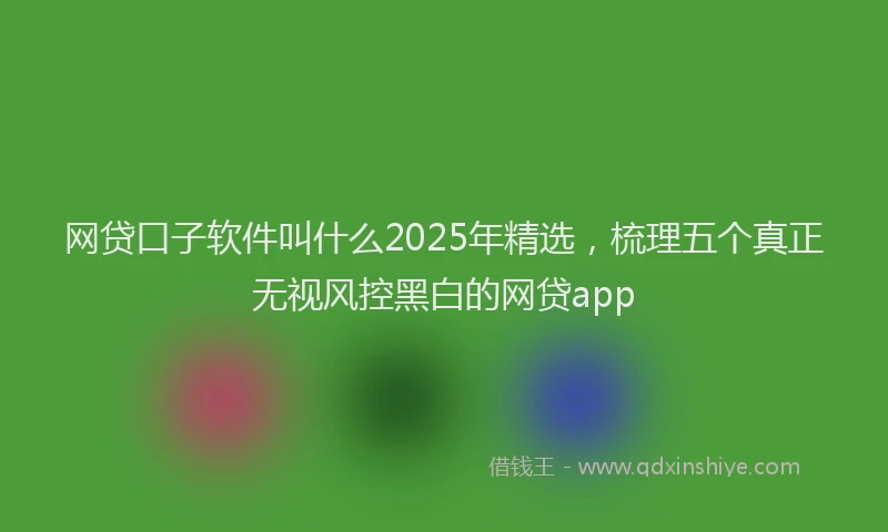 网贷口子软件叫什么2025年精选，梳理五个真正无视风控黑白的网贷app