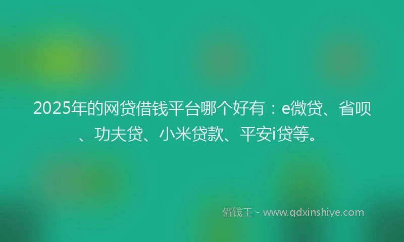 2025年的网贷借钱平台哪个好有：e微贷、省呗、功夫贷、小米贷款、平安i贷等。