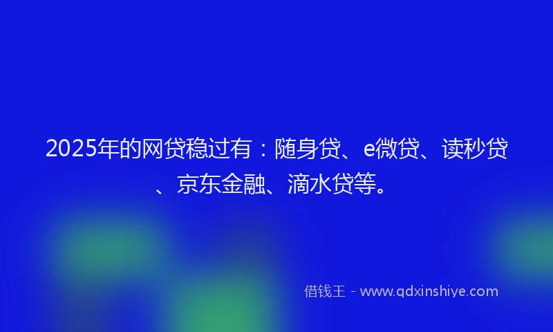 2025年的网贷稳过有：随身贷、e微贷、读秒贷、京东金融、滴水贷等。