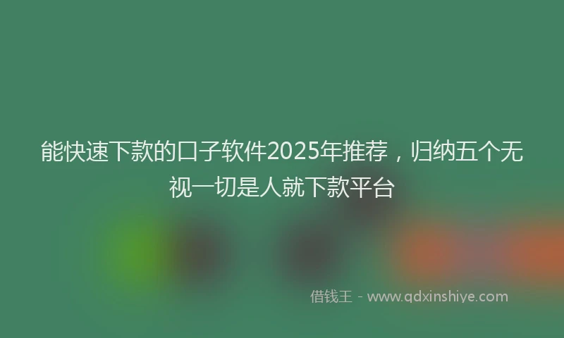 能快速下款的口子软件2025年推荐，归纳五个无视一切是人就下款平台