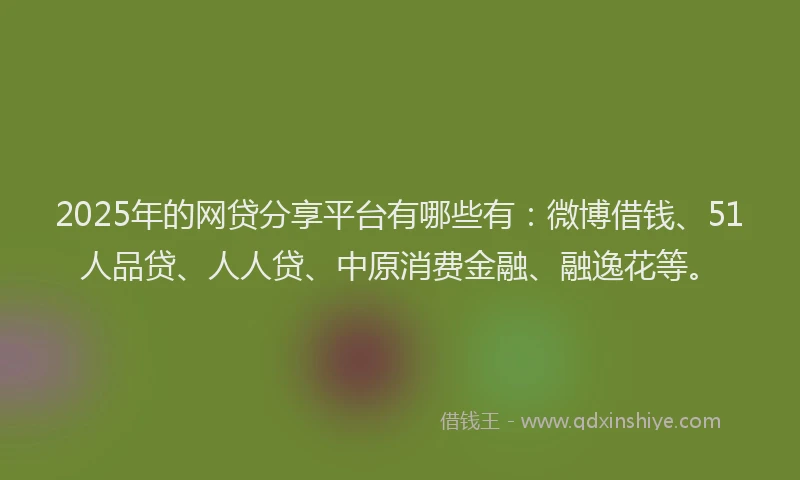 2025年的网贷分享平台有哪些有：微博借钱、51人品贷、人人贷、中原消费金融、融逸花等。