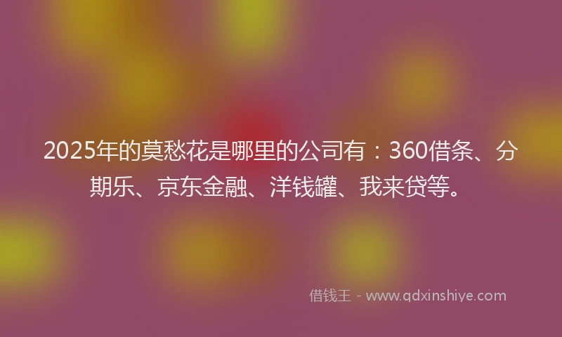 2025年的莫愁花是哪里的公司有：360借条、分期乐、京东金融、洋钱罐、我来贷等。