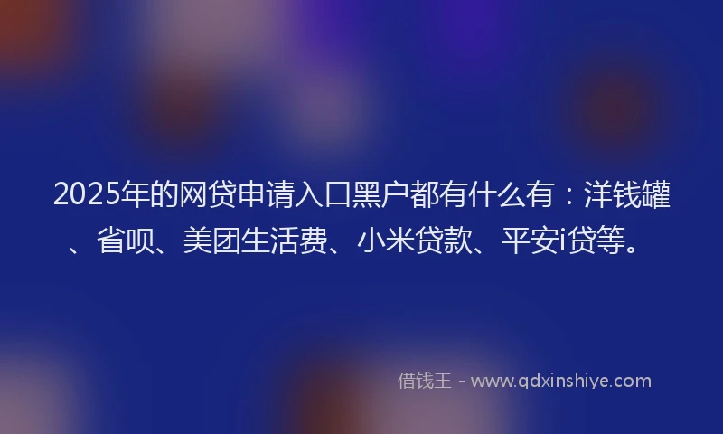 2025年的网贷申请入口黑户都有什么有：洋钱罐、省呗、美团生活费、小米贷款、平安i贷等。