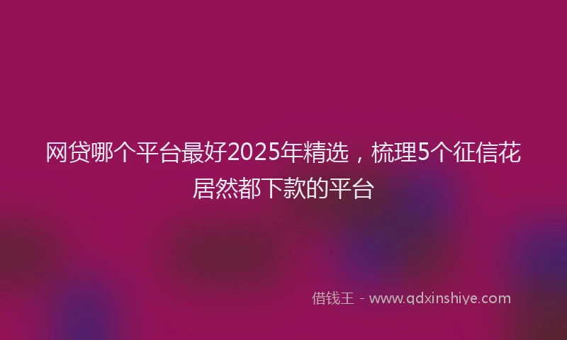 网贷哪个平台最好2025年精选，梳理5个征信花居然都下款的平台