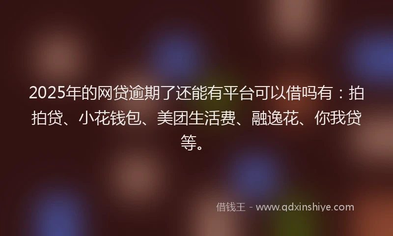 2025年的网贷逾期了还能有平台可以借吗有：拍拍贷、小花钱包、美团生活费、融逸花、你我贷等。
