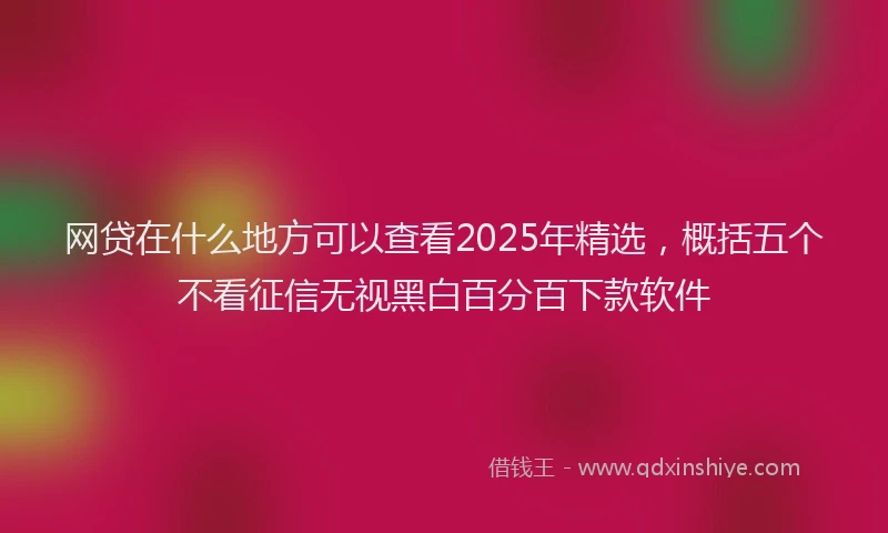 网贷在什么地方可以查看2025年精选，概括五个不看征信无视黑白百分百下款软件