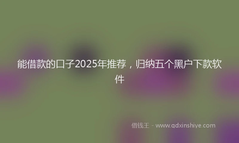 能借款的口子2025年推荐，归纳五个黑户下款软件