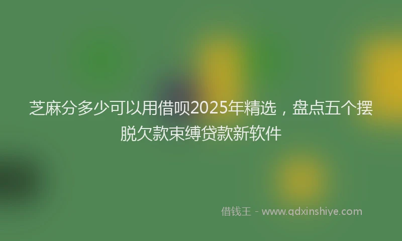 芝麻分多少可以用借呗2025年精选，盘点五个摆脱欠款束缚贷款新软件