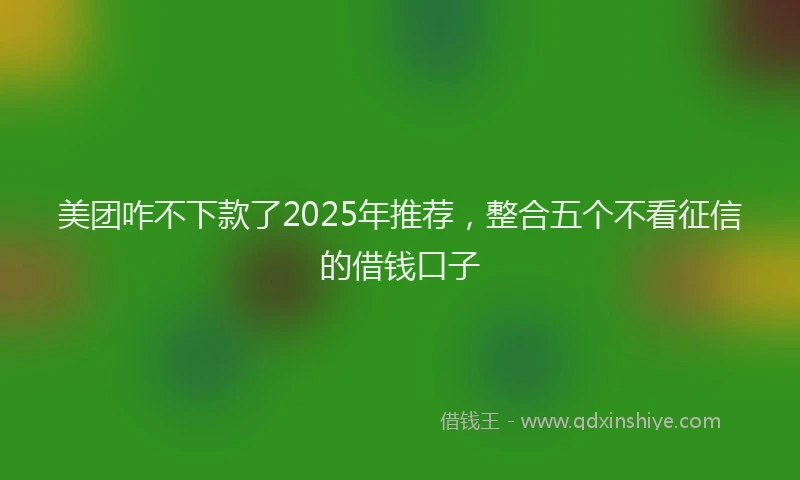 美团咋不下款了2025年推荐，整合五个不看征信的借钱口子
