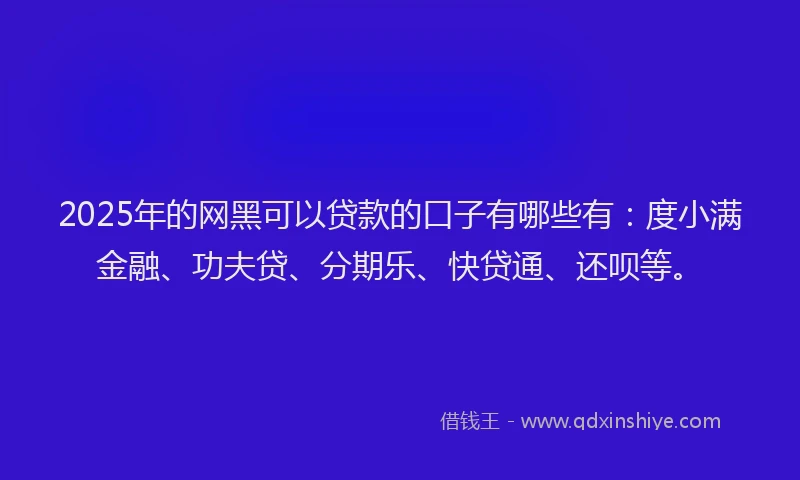 2025年的网黑可以贷款的口子有哪些有：度小满金融、功夫贷、分期乐、快贷通、还呗等。