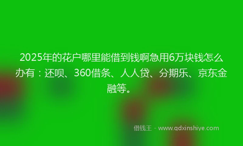 2025年的花户哪里能借到钱啊急用6万块钱怎么办有：还呗、360借条、人人贷、分期乐、京东金融等。