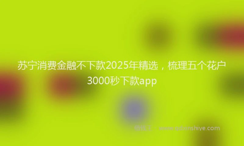 苏宁消费金融不下款2025年精选，梳理五个花户3000秒下款app
