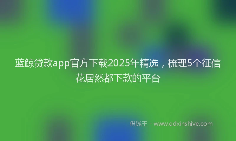 蓝鲸贷款app官方下载2025年精选，梳理5个征信花居然都下款的平台