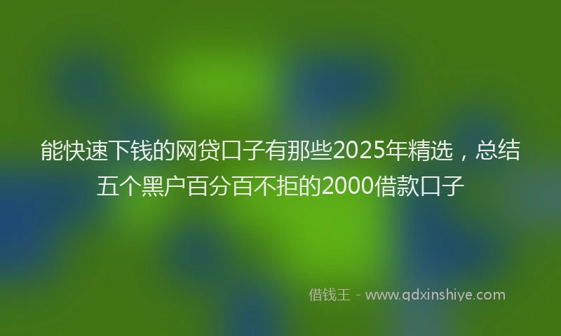 能快速下钱的网贷口子有那些2025年精选，总结五个黑户百分百不拒的2000借款口子