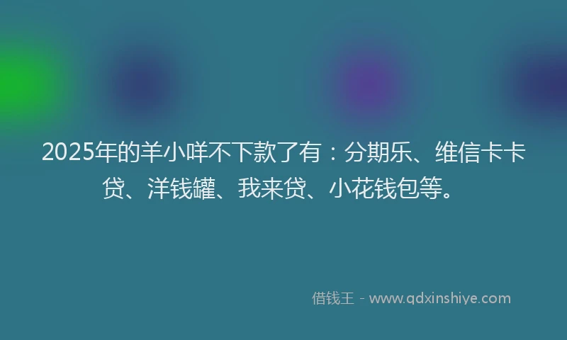 2025年的羊小咩不下款了有：分期乐、维信卡卡贷、洋钱罐、我来贷、小花钱包等。
