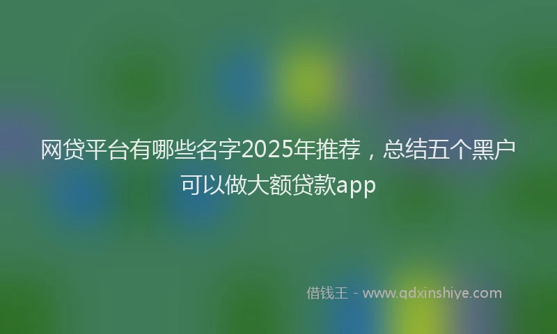 网贷平台有哪些名字2025年推荐，总结五个黑户可以做大额贷款app