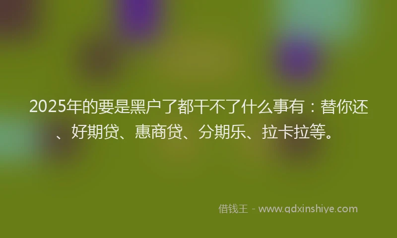 2025年的要是黑户了都干不了什么事有：替你还、好期贷、惠商贷、分期乐、拉卡拉等。