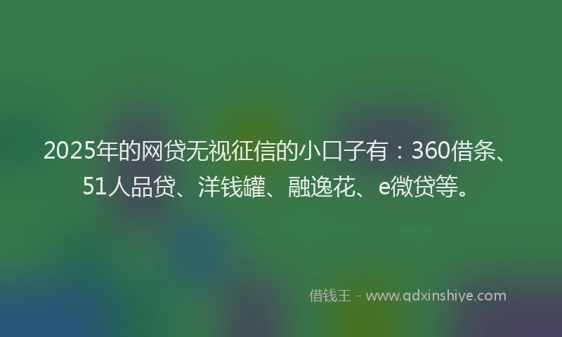 2025年的网贷无视征信的小口子有：360借条、51人品贷、洋钱罐、融逸花、e微贷等。