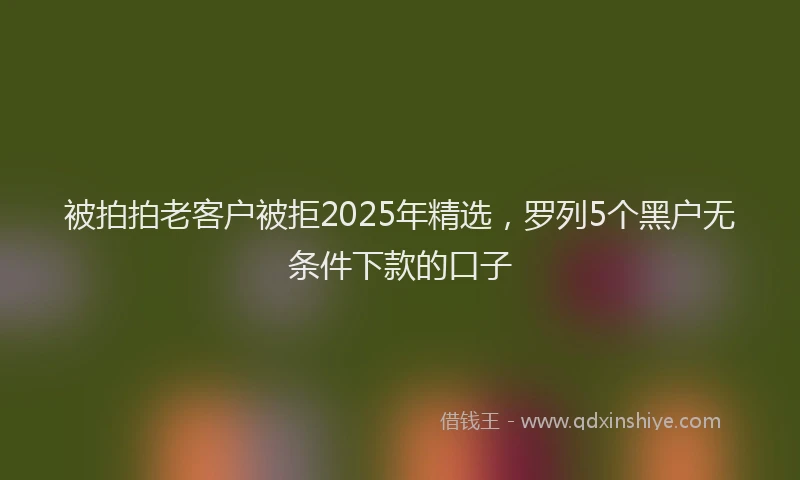 被拍拍老客户被拒2025年精选，罗列5个黑户无条件下款的口子