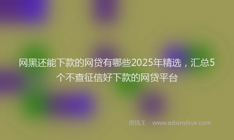 网黑还能下款的网贷有哪些2025年精选，汇总5个不查征信好下款的网贷平台